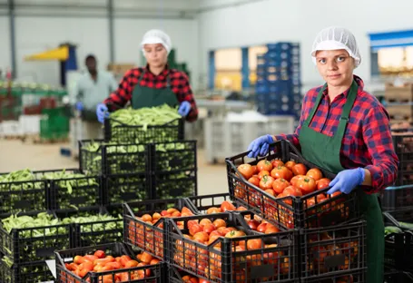 HoReCa komunita - dvě ženy skládají bedýnky zeleniny
